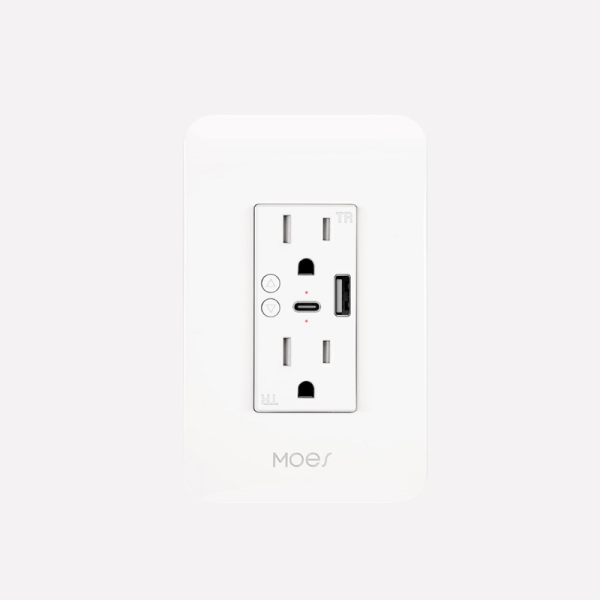 Moes Smart Wall Outlet USB and Type C